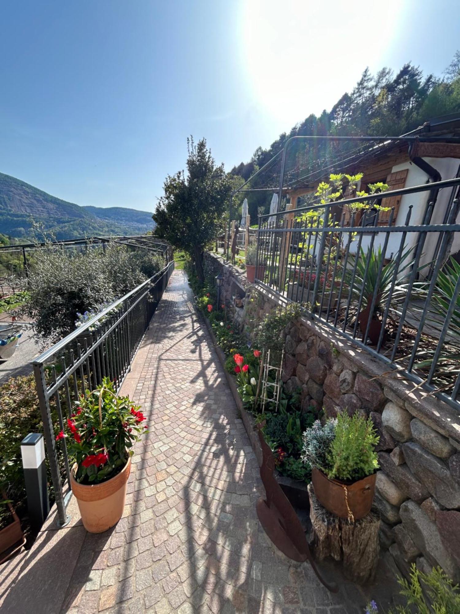 Agriturismo Valfraja Cembra Lisignago Dış mekan fotoğraf