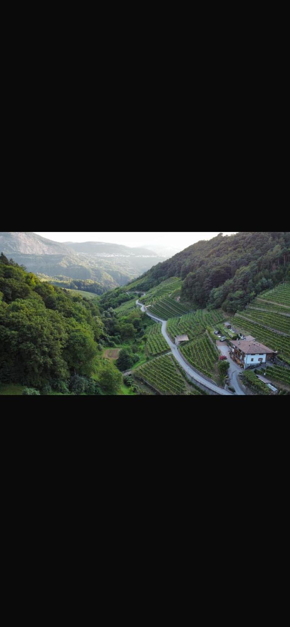 Agriturismo Valfraja Cembra Lisignago Dış mekan fotoğraf