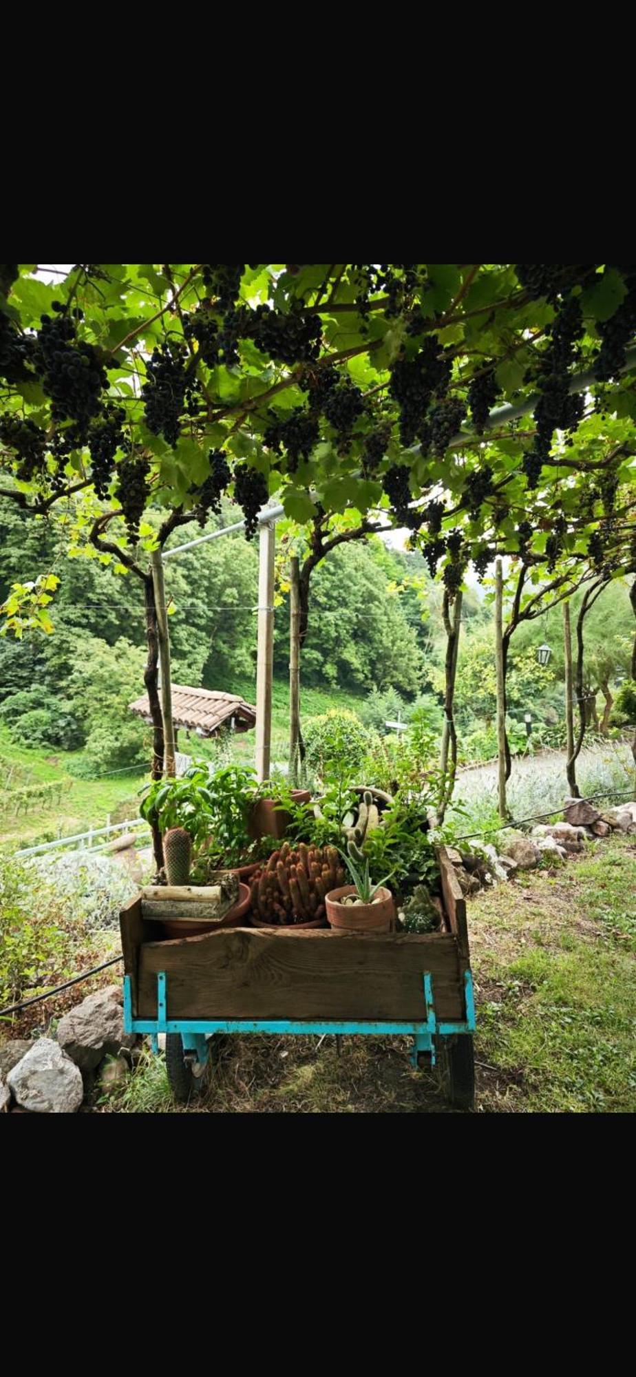 Agriturismo Valfraja Cembra Lisignago Dış mekan fotoğraf