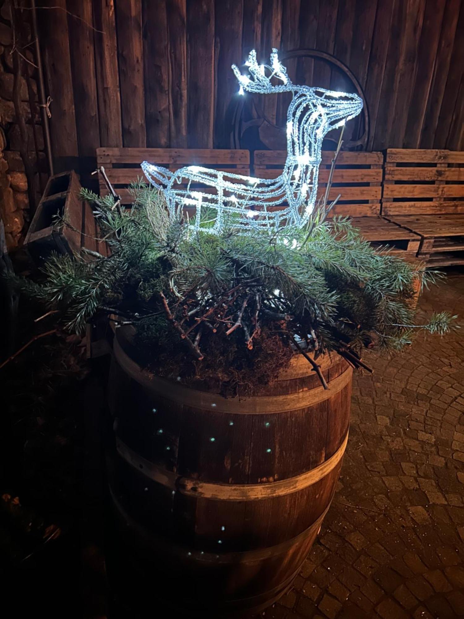 Agriturismo Valfraja Cembra Lisignago Dış mekan fotoğraf